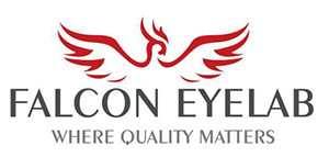 Falcon Eye Lab logo